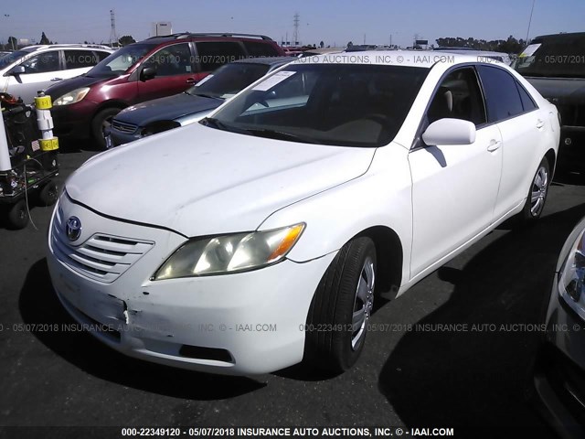 4T1BK46K18U573895 - 2008 TOYOTA CAMRY LE/XLE/SE WHITE photo 2