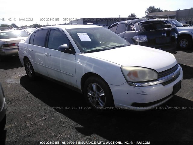 1G1ZT54835F207443 - 2005 CHEVROLET MALIBU LS 白色 照片 1