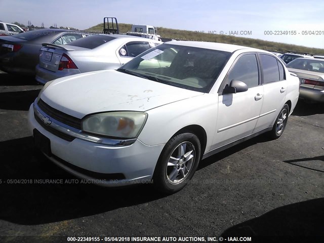 1G1ZT54835F207443 - 2005 CHEVROLET MALIBU LS 白色 照片 2