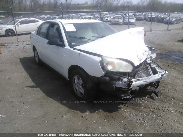 1G1ZT52865F175364 - 2005 CHEVROLET MALIBU LS WHITE photo 1