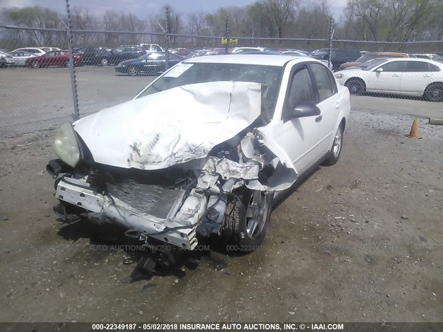 1G1ZT52865F175364 - 2005 CHEVROLET MALIBU LS WHITE photo 2