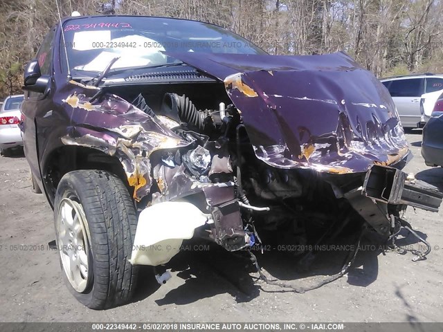 1D4GP45R54B551997 - 2004 DODGE CARAVAN SXT PURPLE photo 6