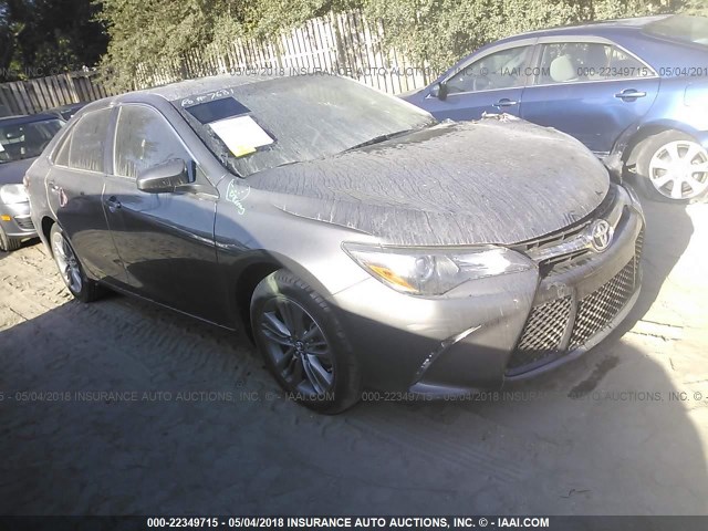 4T1BF1FKXGU124619 - 2016 TOYOTA CAMRY LE/XLE/SE/XSE GRAY photo 1