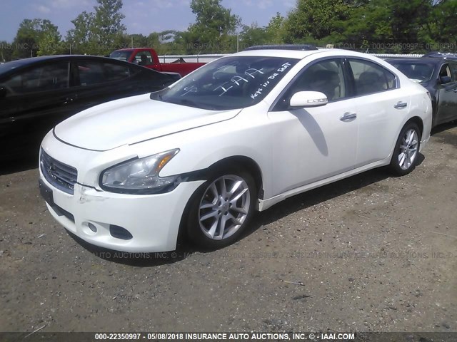 1N4AA5APXBC816618 - 2011 NISSAN MAXIMA S/SV WHITE photo 2