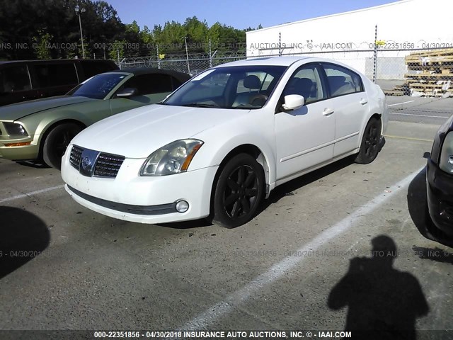 1N4BA41E45C855450 - 2005 NISSAN MAXIMA SE/SL WHITE photo 2