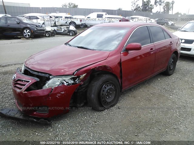 4T4BF3EK0BR121644 - 2011 TOYOTA CAMRY SE/LE/XLE RED photo 2