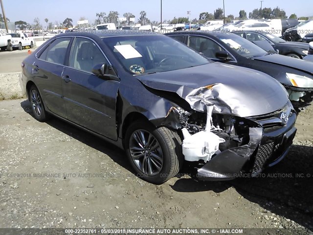 4T1BF1FK1GU600188 - 2016 TOYOTA CAMRY LE/XLE/SE/XSE Grau Foto 1