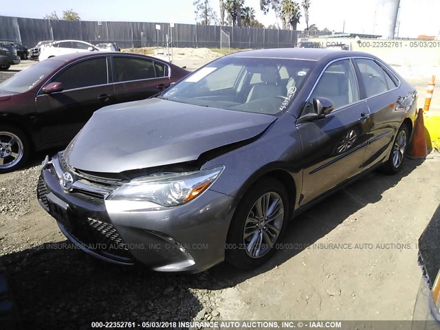 4T1BF1FK1GU600188 - 2016 TOYOTA CAMRY LE/XLE/SE/XSE Grau Foto 2