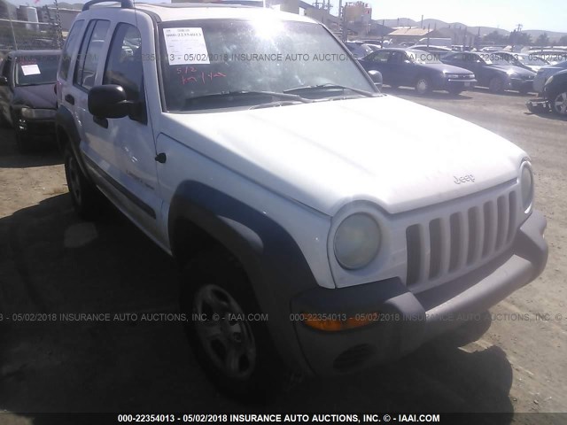 1J4GL48KX2W145916 - 2002 JEEP LIBERTY SPORT Ağ foto 1