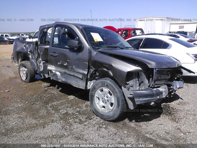 3GCPCSE02CG225935 - 2012 CHEVROLET SILVERADO C1500 LT Pewter photo 1