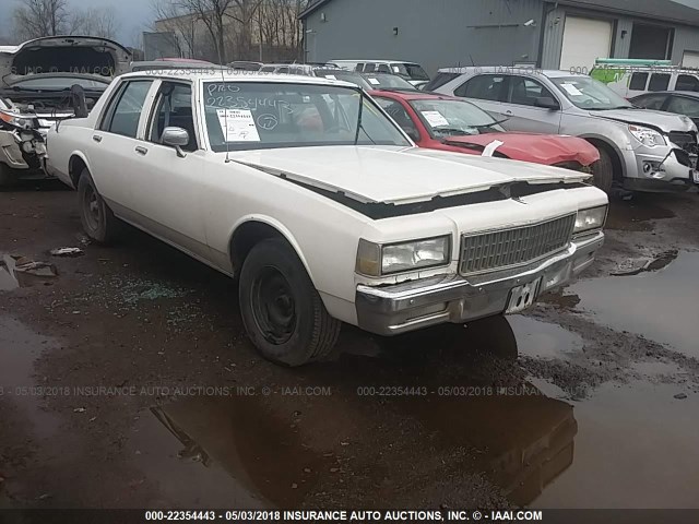 1G1BL5470LR144516 - 1990 CHEVROLET CAPRICE WHITE photo 1