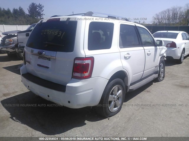 1FMCU04198KE61407 - 2008 FORD ESCAPE LIMITED WHITE photo 4