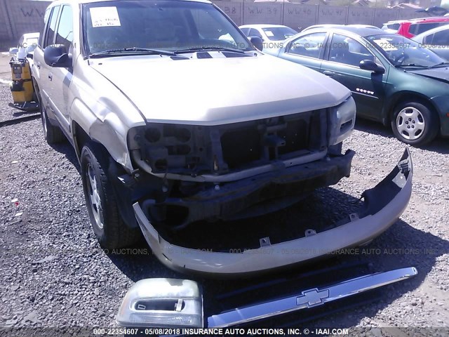 1GNDS13S452231825 - 2005 CHEVROLET TRAILBLAZER LS/LT TAN photo 6