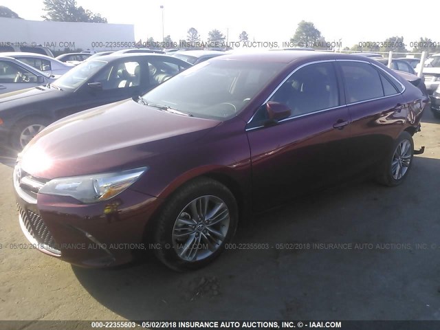 4T1BF1FKXGU514636 - 2016 TOYOTA CAMRY LE/XLE/SE/XSE BURGUNDY photo 2