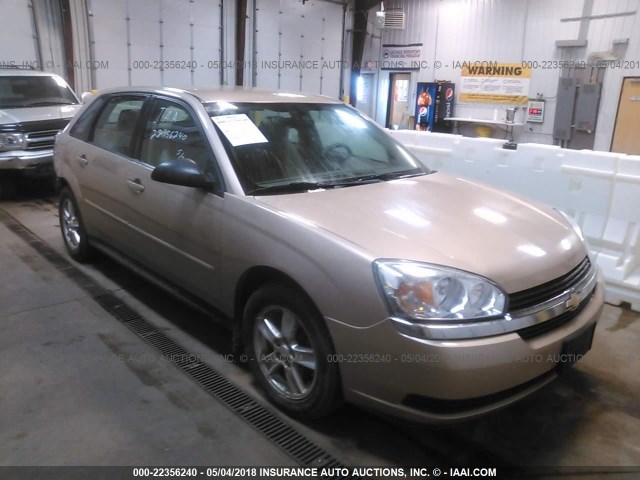 1G1ZT62855F192596 - 2005 CHEVROLET MALIBU MAXX LS GOLD photo 1