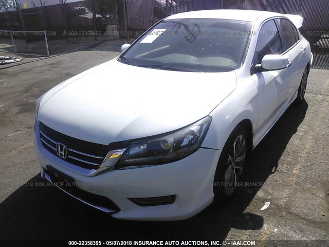 1HGCR2F55DA206580 - 2013 HONDA ACCORD SPORT თეთრი ფოტო 2