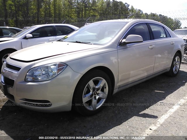 1G1ZH57B99F127286 - 2009 CHEVROLET MALIBU 1LT 棕色 照片 2