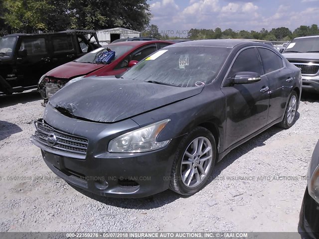 1N4AA51E19C860323 - 2009 NISSAN MAXIMA S/SV GRAY photo 2