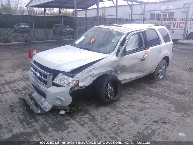 1FMCU9EG7AKD37701 - 2010 FORD ESCAPE LIMITED WHITE photo 2