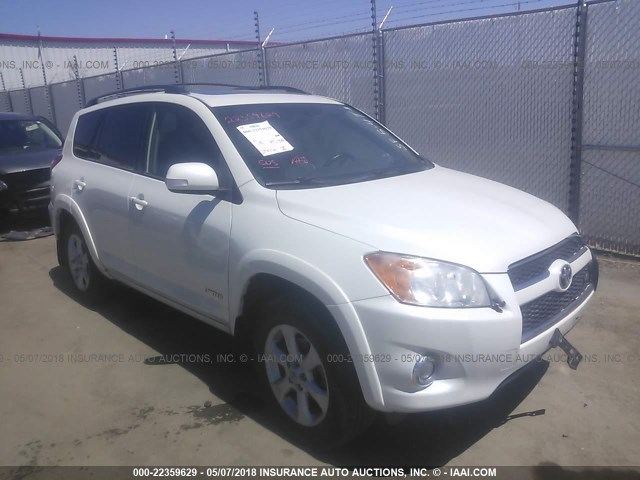 JTMBK31V395081008 - 2009 TOYOTA RAV4 LIMITED WHITE photo 1