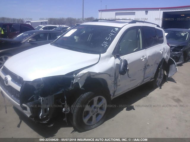 JTMBK31V395081008 - 2009 TOYOTA RAV4 LIMITED WHITE photo 6