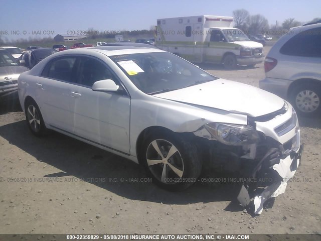 1G1ZC5E15BF192828 - 2011 CHEVROLET MALIBU 1LT 白色 照片 1
