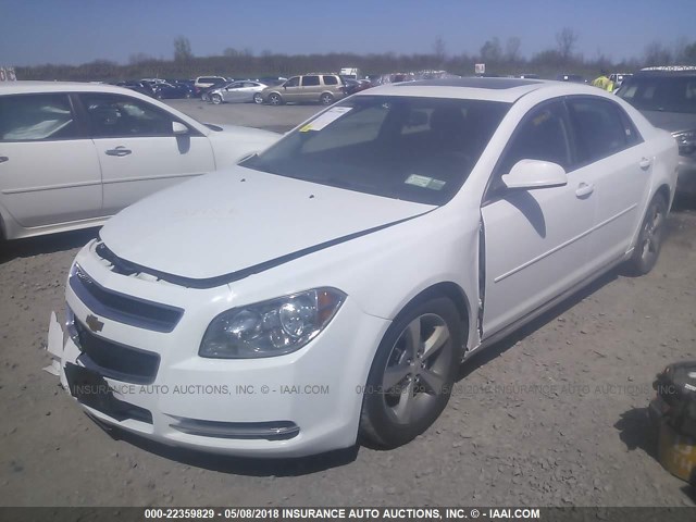 1G1ZC5E15BF192828 - 2011 CHEVROLET MALIBU 1LT 白色 照片 2