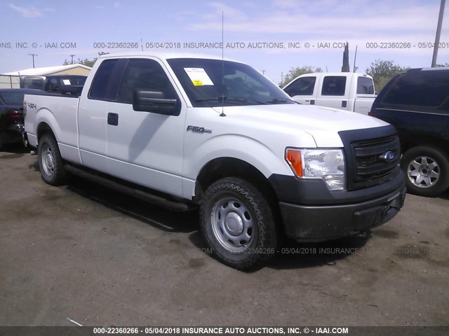 1FTFX1EF3EKD53756 - 2014 FORD F150 SUPER CAB WHITE photo 1