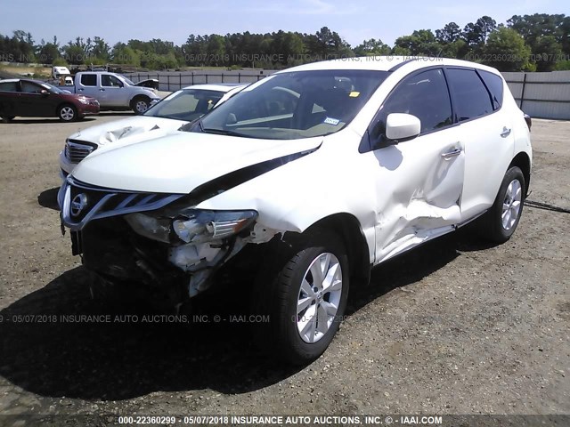 JN8AZ1MU1DW211390 - 2013 NISSAN MURANO S/SL/LE WHITE photo 2