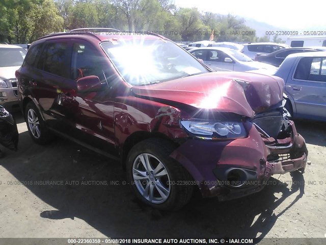 5XYZHDAG6BG001606 - 2011 HYUNDAI SANTA FE SE RED photo 1