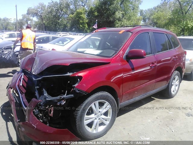 5XYZHDAG6BG001606 - 2011 HYUNDAI SANTA FE SE RED photo 2