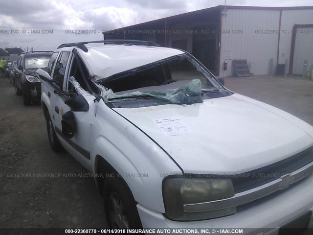 1GNDS13S032254936 - 2003 CHEVROLET TRAILBLAZER  WHITE photo 6