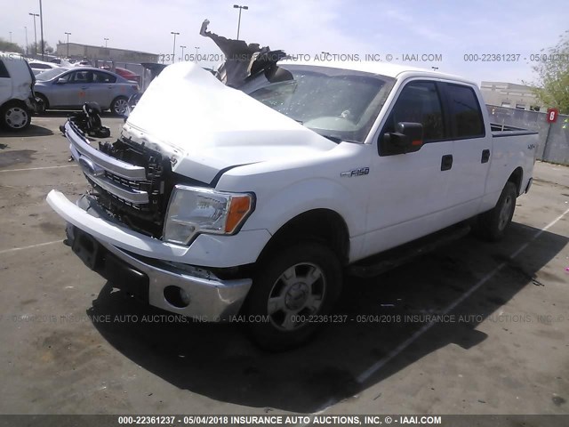 1FTFW1EF4EFB51021 - 2014 FORD F150 SUPERCREW WHITE photo 2