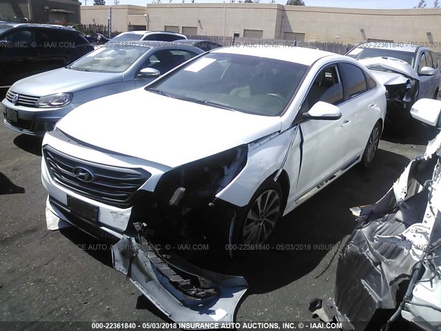 5NPE34AF8HH454597 - 2017 HYUNDAI SONATA SPORT/LIMITED WHITE photo 2