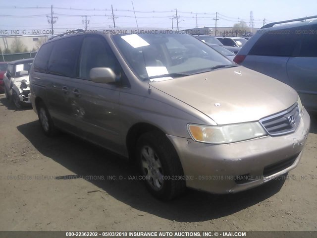 5FNRL180X3B014633 - 2003 HONDA ODYSSEY EXL თაფლისფერი ფოტო 1