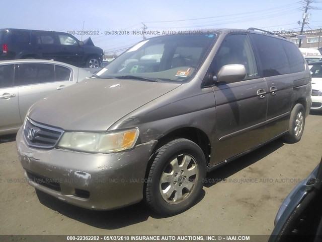 5FNRL180X3B014633 - 2003 HONDA ODYSSEY EXL TAN photo 2