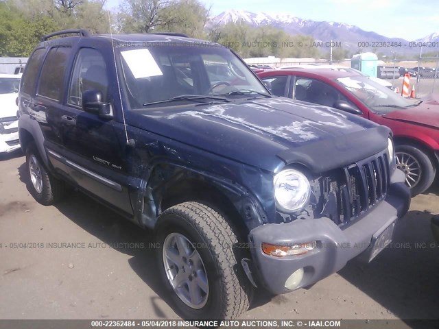 1J4GL48KX2W149030 - 2002 JEEP LIBERTY SPORT Mavi foto 1