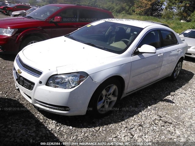 1G1ZC5EB9AF269448 - 2010 CHEVROLET MALIBU 1LT თეთრი ფოტო 2