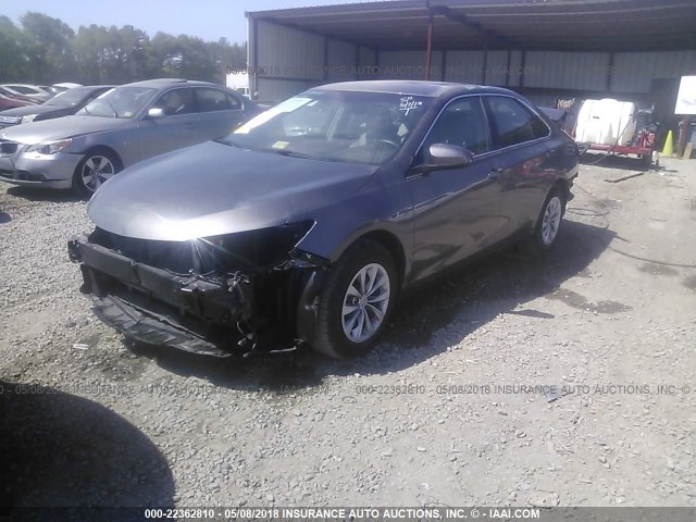 4T1BF1FK0HU439382 - 2017 TOYOTA CAMRY LE/XLE/SE/XSE GRAY photo 2