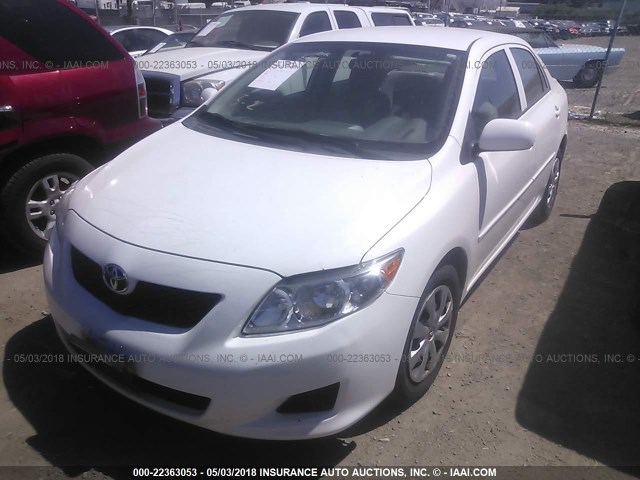 1NXBU4EE7AZ222436 - 2010 TOYOTA COROLLA S/LE/XLE WHITE photo 2