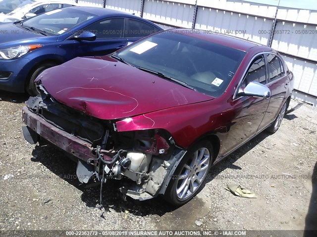 1G1ZE5E10BF192522 - 2011 CHEVROLET MALIBU LTZ 栗色 照片 2