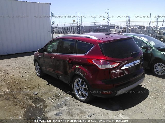 1FMCU0J91EUB31948 - 2014 FORD ESCAPE TITANIUM RED photo 3