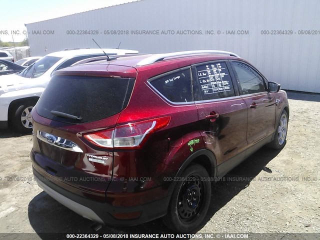 1FMCU0J91EUB31948 - 2014 FORD ESCAPE TITANIUM RED photo 4