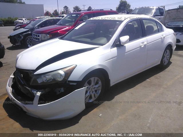 1HGCP26499A134450 - 2009 HONDA ACCORD LXP WHITE photo 2