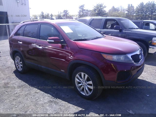 5XYKTDA20BG069923 - 2011 KIA SORENTO LX RED photo 1