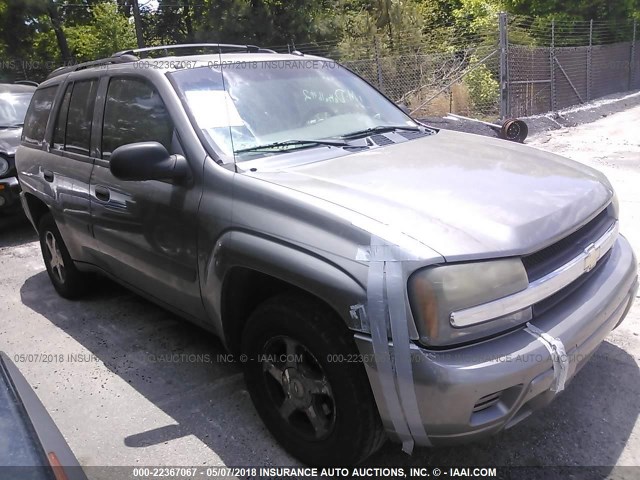 1GNDS13S652281769 - 2005 CHEVROLET TRAILBLAZER LS/LT GRAY photo 1