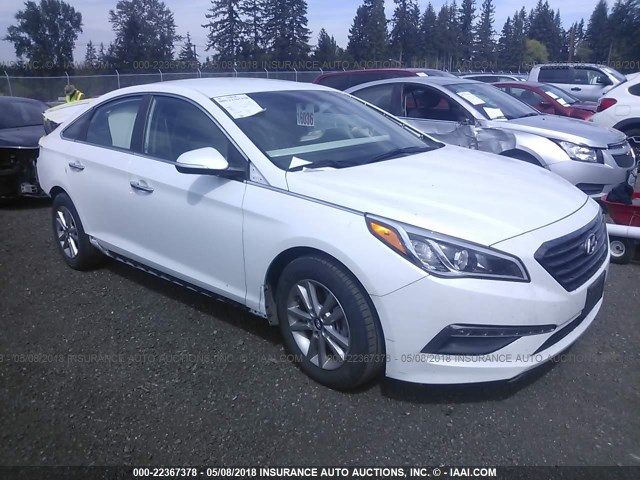 5NPE24AA5FH173829 - 2015 HYUNDAI SONATA ECO WHITE photo 1