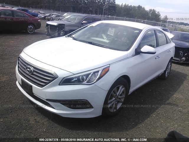 5NPE24AA5FH173829 - 2015 HYUNDAI SONATA ECO WHITE photo 2