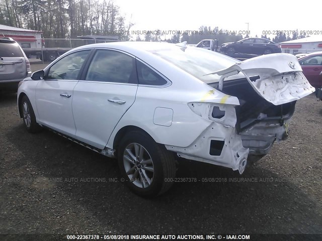 5NPE24AA5FH173829 - 2015 HYUNDAI SONATA ECO WHITE photo 3