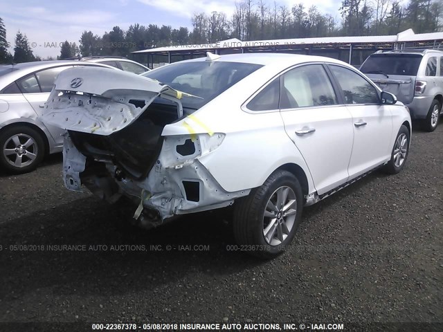 5NPE24AA5FH173829 - 2015 HYUNDAI SONATA ECO WHITE photo 4